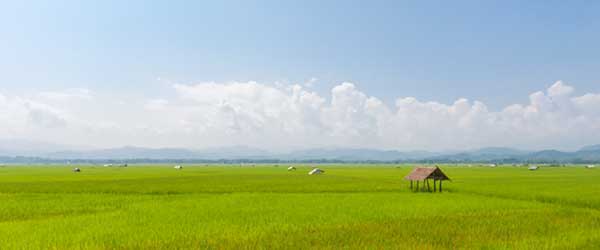 Landschaft nahe Luang Namtha